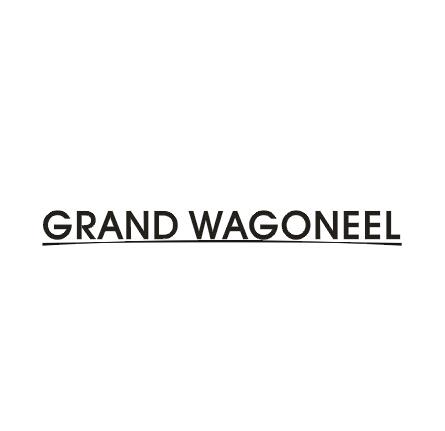 12类-运输装置GRAND WAGONEEL商标转让