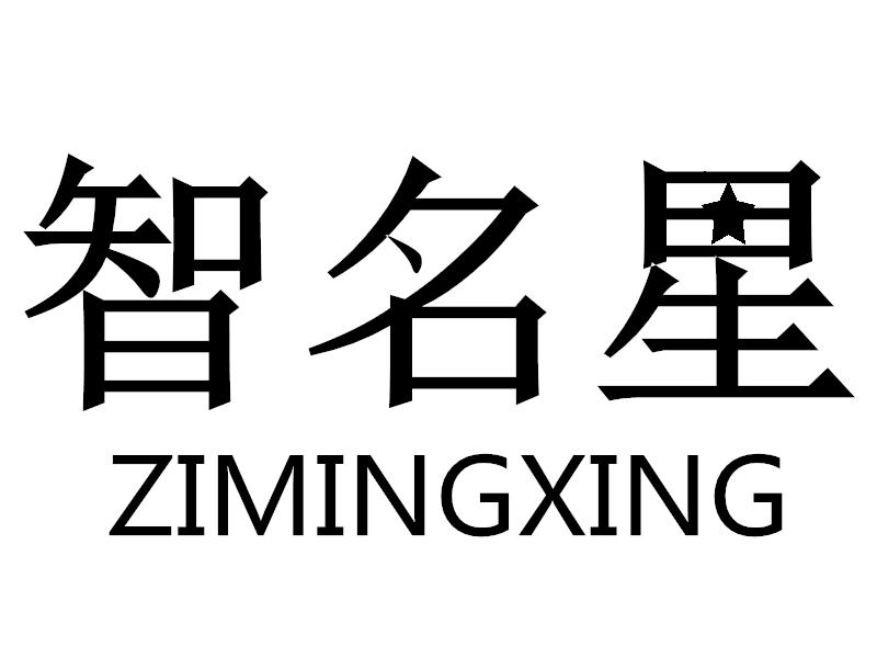 09类-科学仪器智名星 ZIMINGXING商标转让
