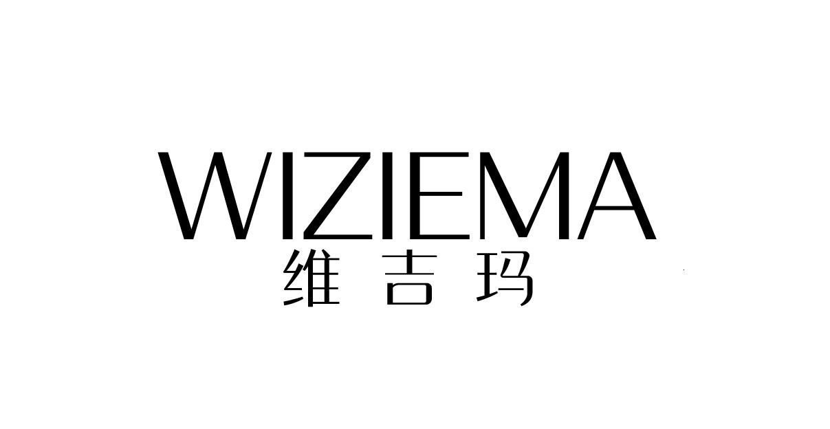 06类-金属材料维吉玛 WIZIEMA商标转让