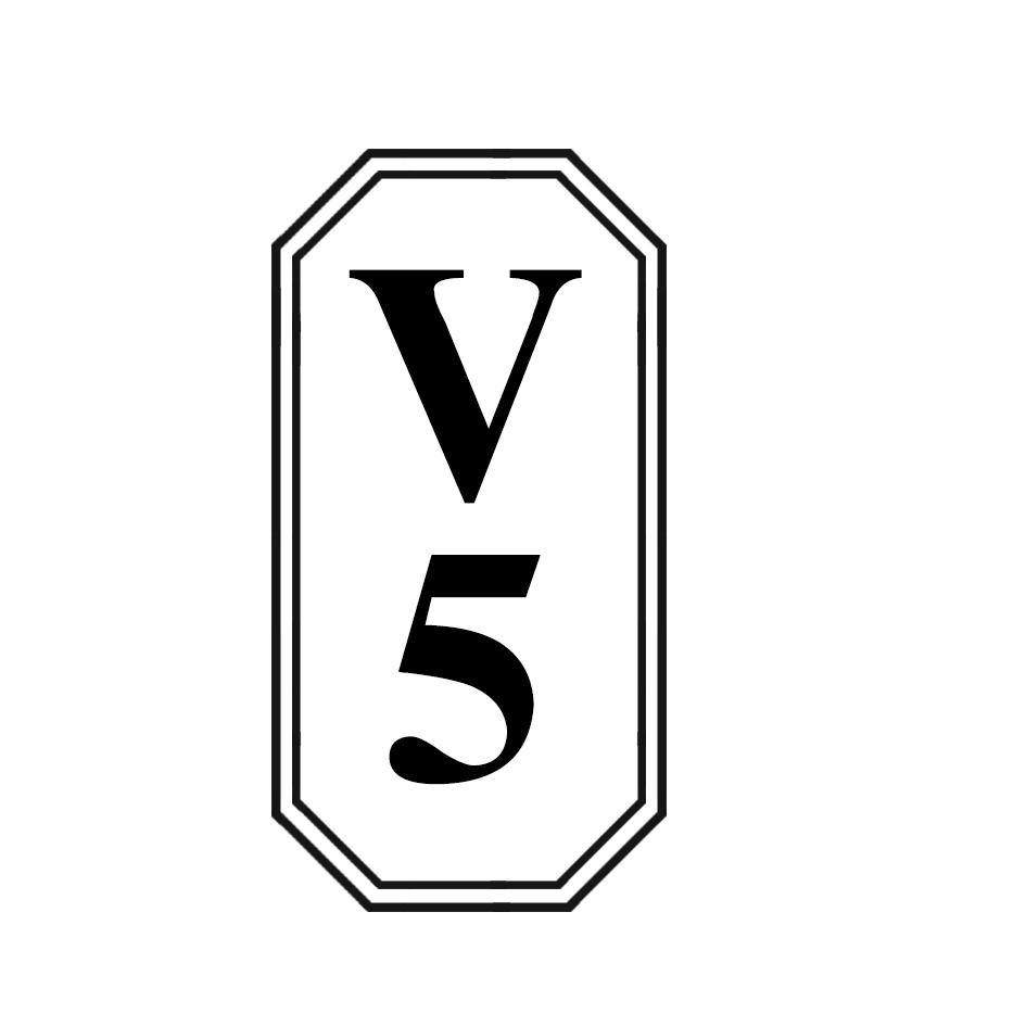 V5商标转让