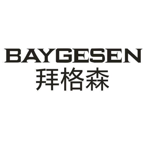 11类-电器灯具拜格森 BAYGESEN商标转让