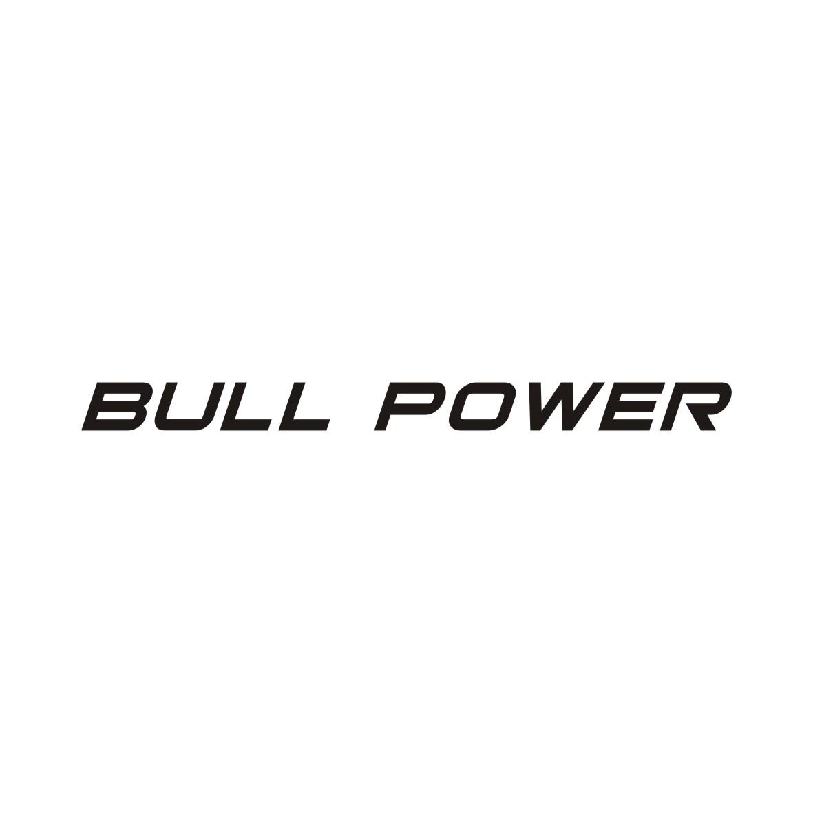 22类-网绳篷袋BULL POWER商标转让