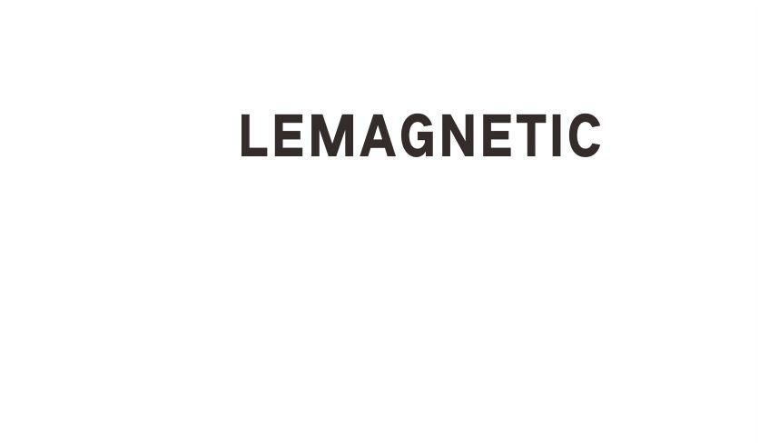05类-医药保健LEMAGNETIC商标转让