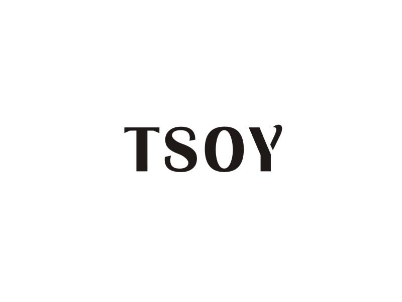 09类-科学仪器TSOY商标转让