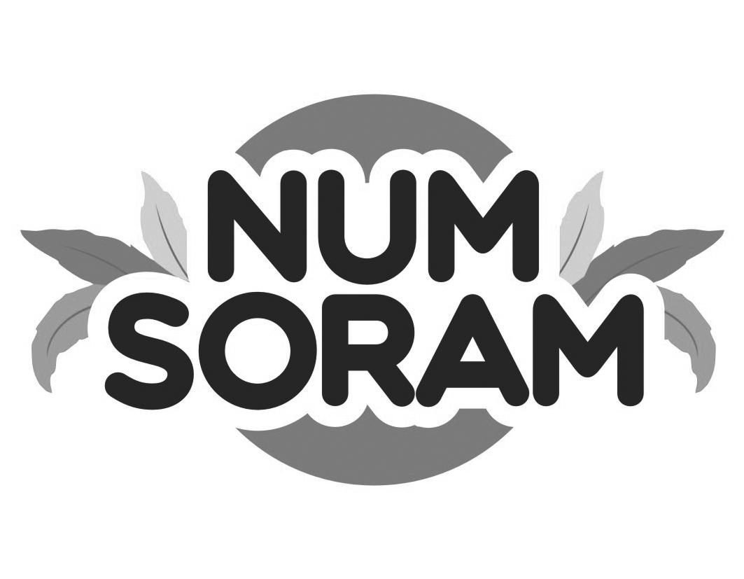 03类-日化用品NUM SORAM商标转让