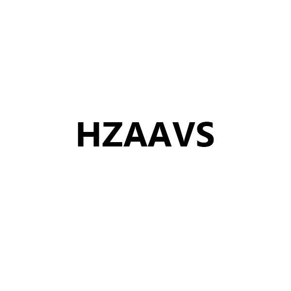 25类-服装鞋帽HZAAVS商标转让