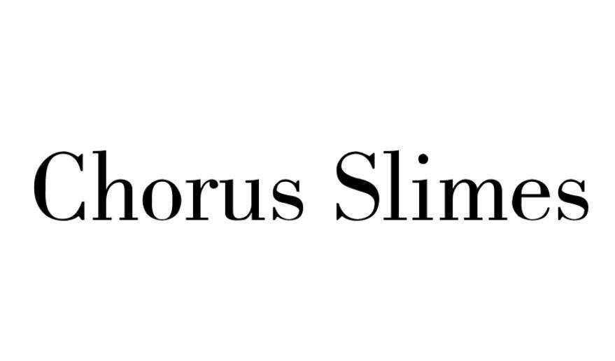 CHORUS SLIMES商标转让
