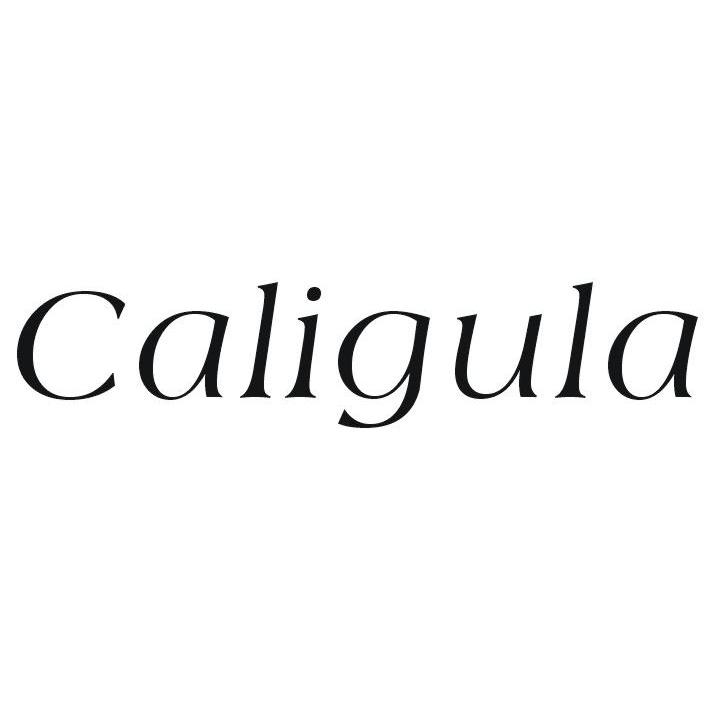 CALIGULA商标转让