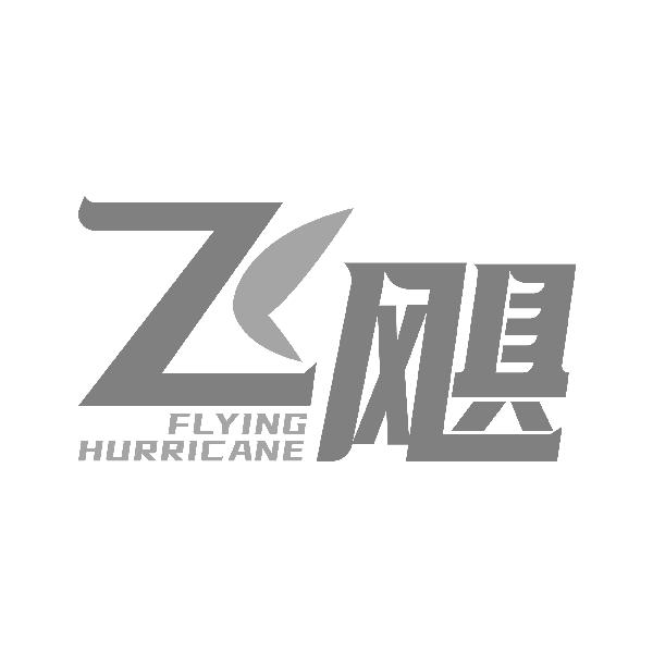 06类-金属材料飞飓 FLYING HURRICANE商标转让
