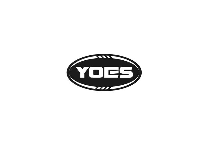 09类-科学仪器YOES商标转让