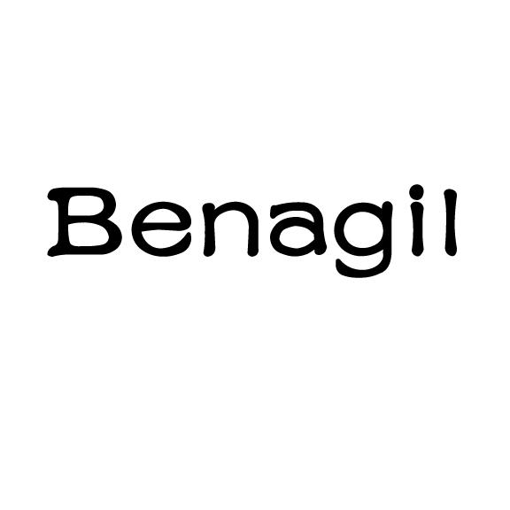 19类-建筑材料BENAGIL商标转让