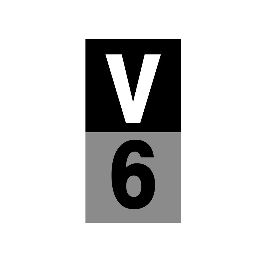 V 6商标转让