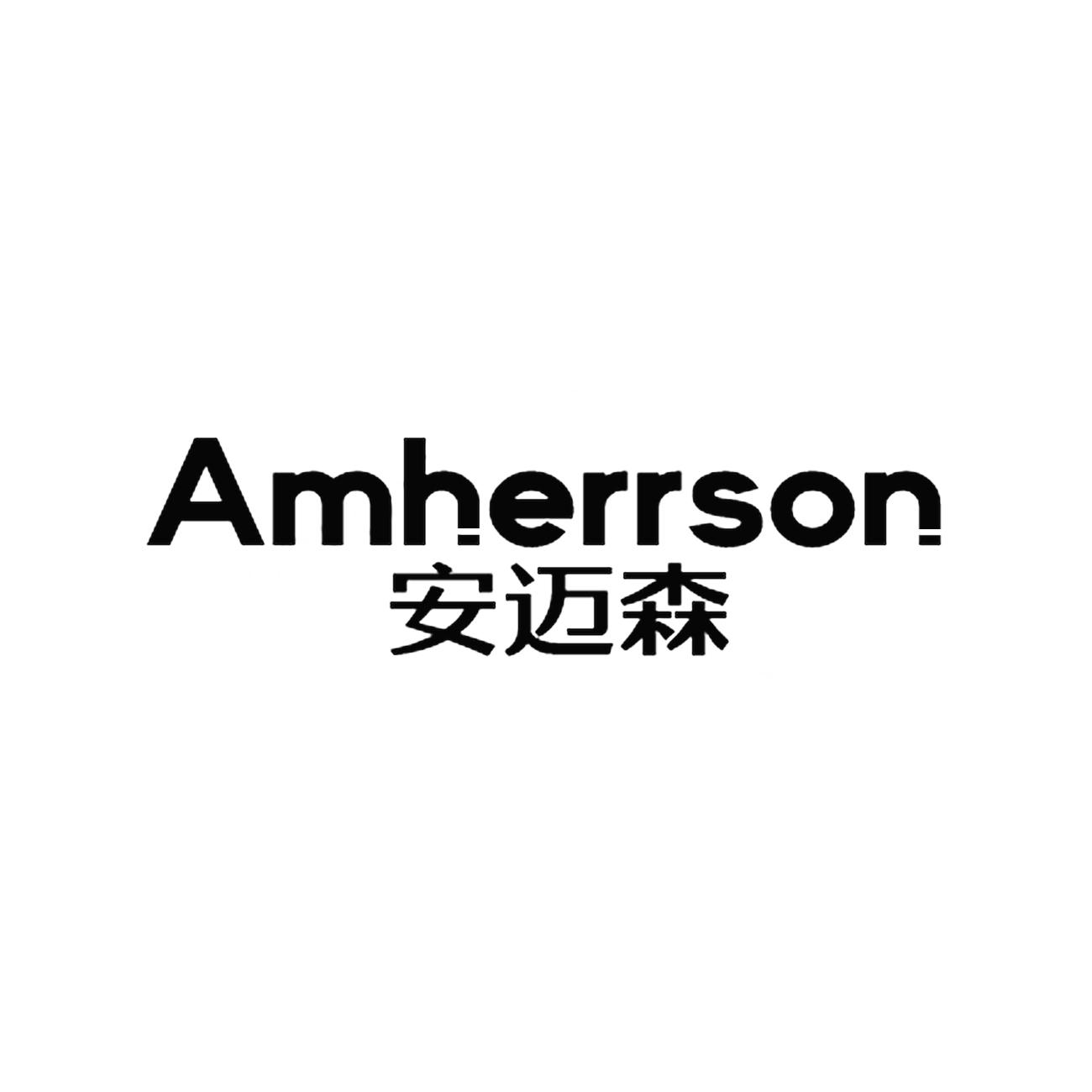 09类-科学仪器安迈森  AMHERRSON商标转让