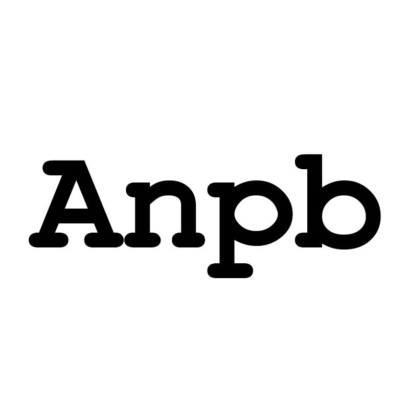 25类-服装鞋帽ANPB商标转让
