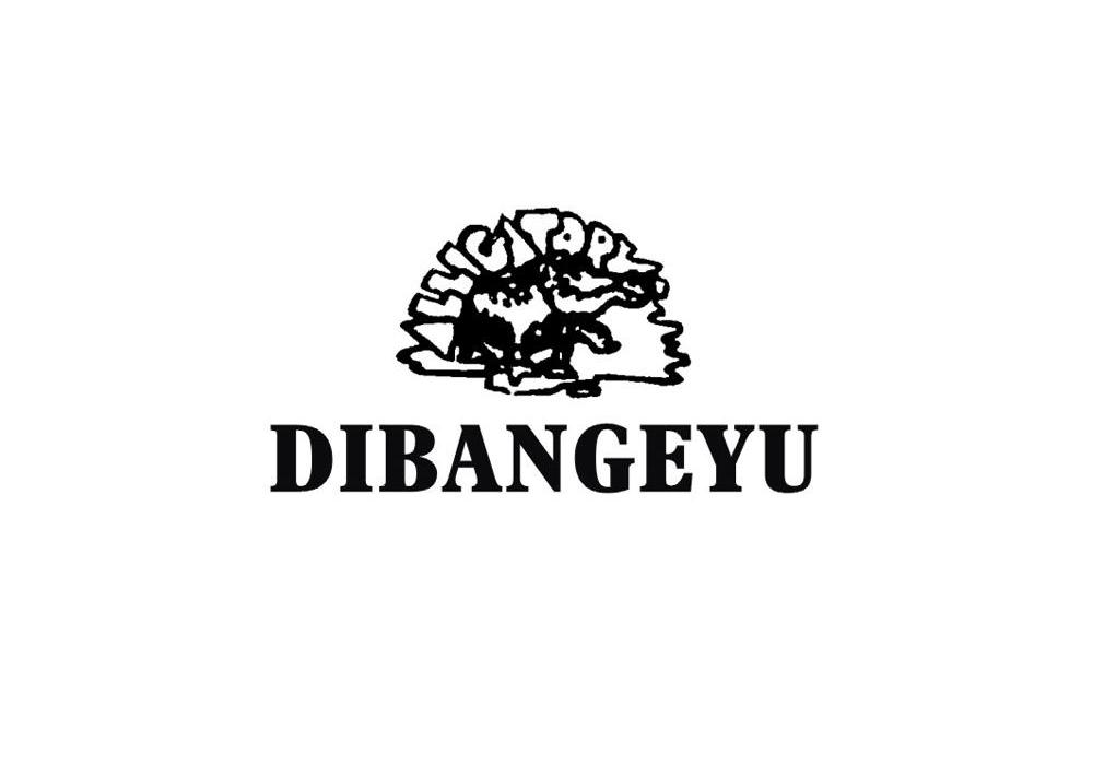 24类-纺织制品DIBANGEYU商标转让