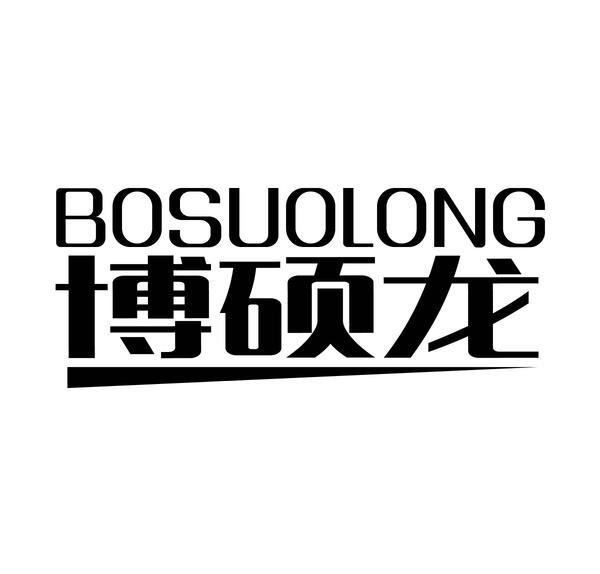 09类-科学仪器博硕龙 BOSUOLONG商标转让