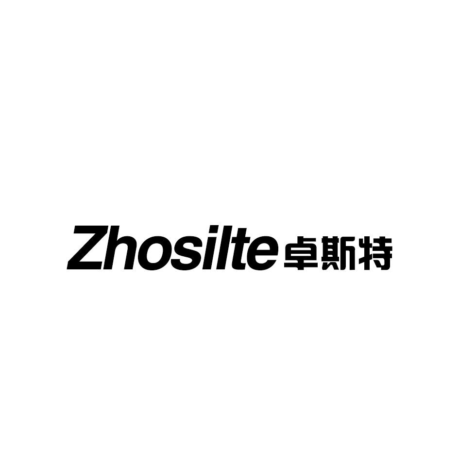 07类-机械设备ZHOSILTE 卓斯特商标转让