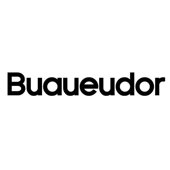 18类-箱包皮具BUAUEUDOR商标转让