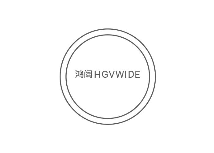 09类-科学仪器鸿阔 HGVWIDE商标转让