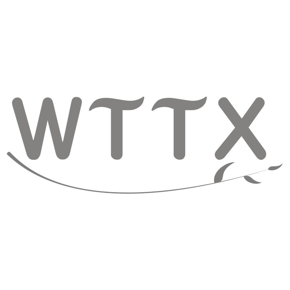 07类-机械设备WTTX商标转让