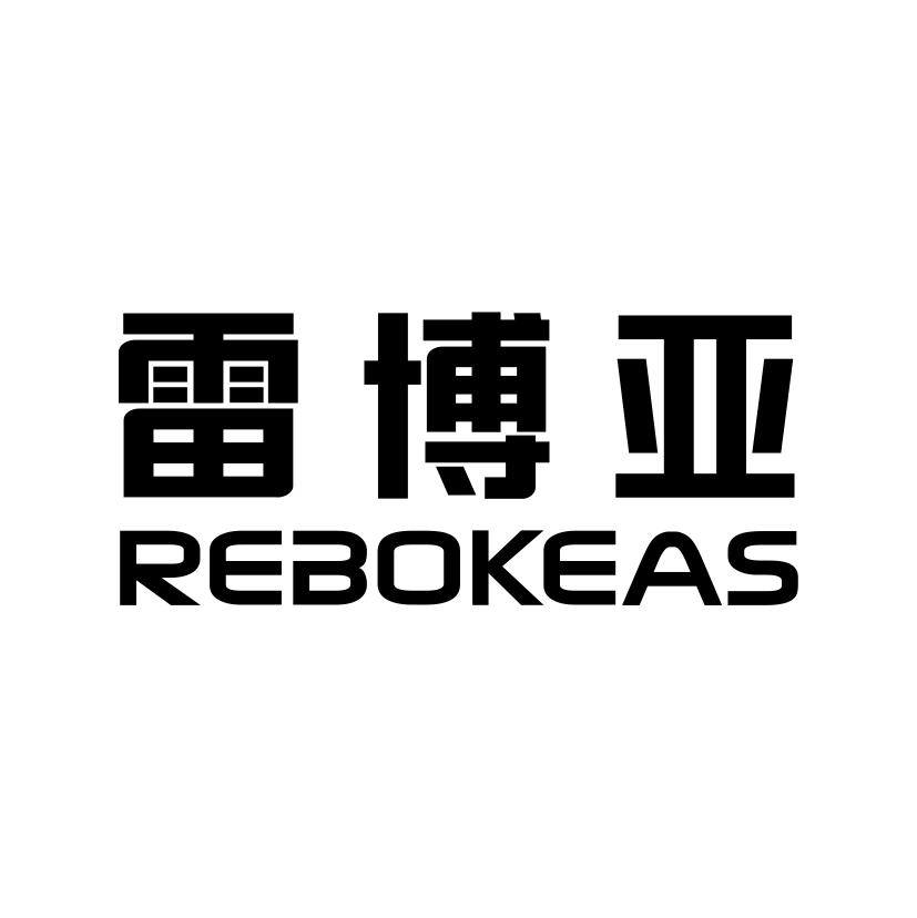 09类-科学仪器雷博亚 REBOKEAS商标转让