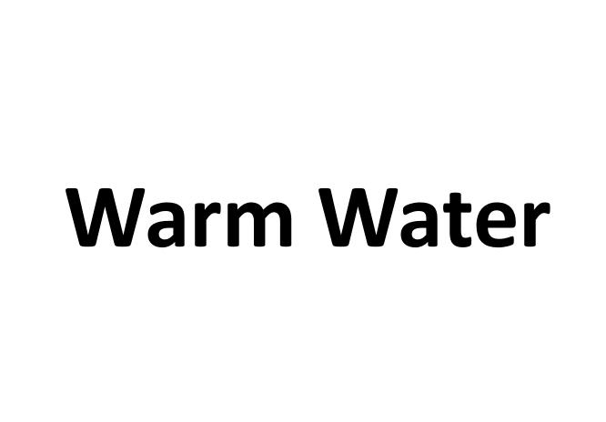 25类-服装鞋帽WARM WATER商标转让