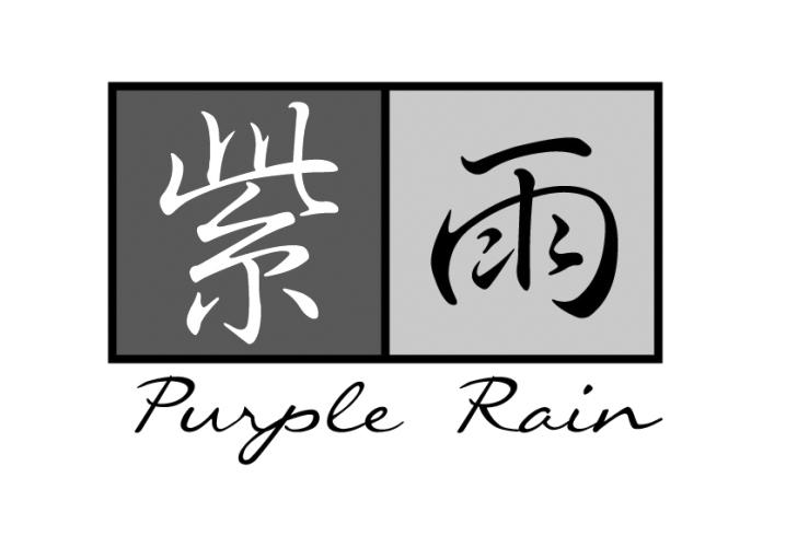 14类-珠宝钟表紫雨 PURPLE RAIN商标转让