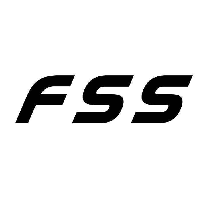 18类-箱包皮具FSS商标转让