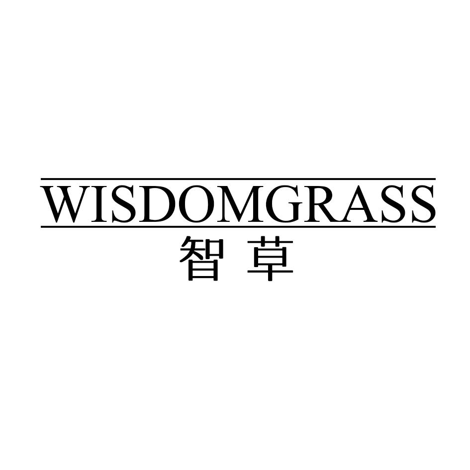 09类-科学仪器智草 WISDOMGRASS商标转让