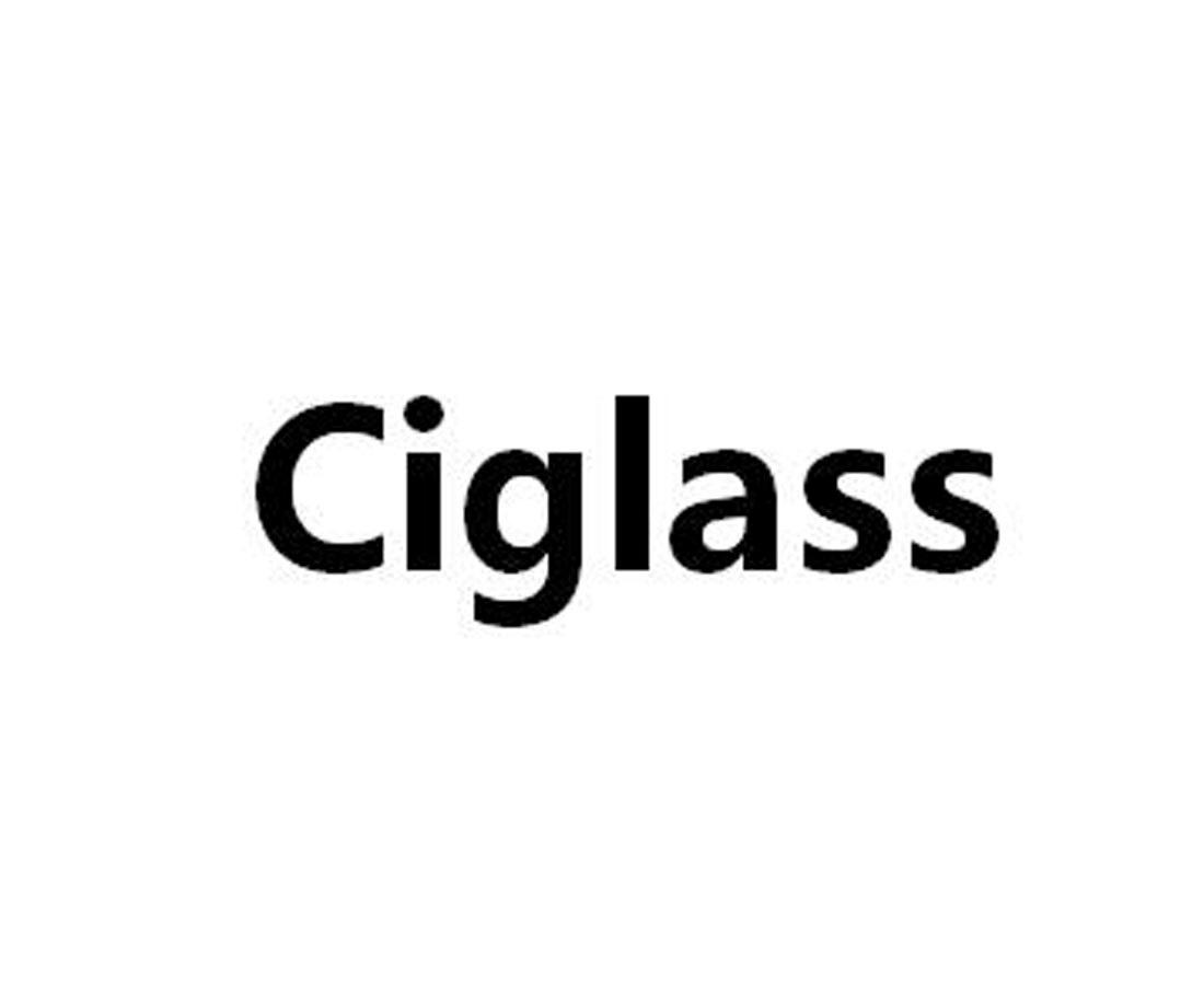 09类-科学仪器CIGLASS商标转让