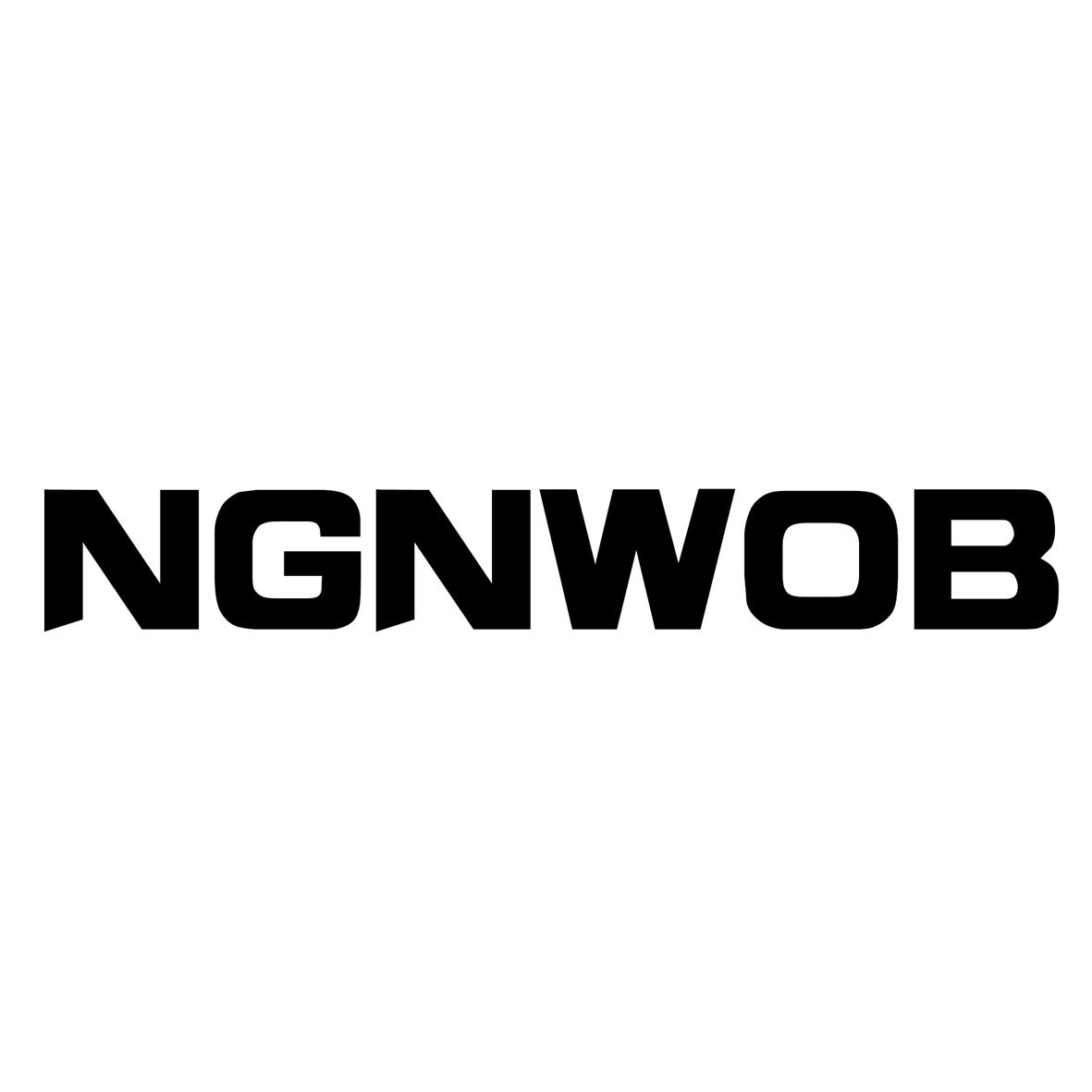 25类-服装鞋帽NGNWOB商标转让