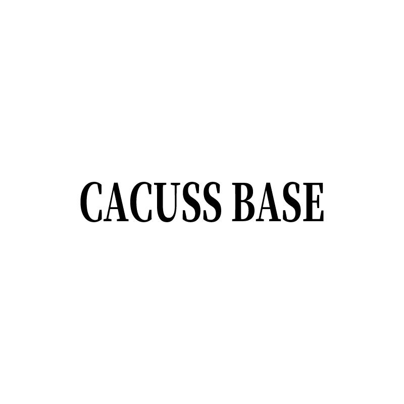 25类-服装鞋帽CACUSS BASE商标转让