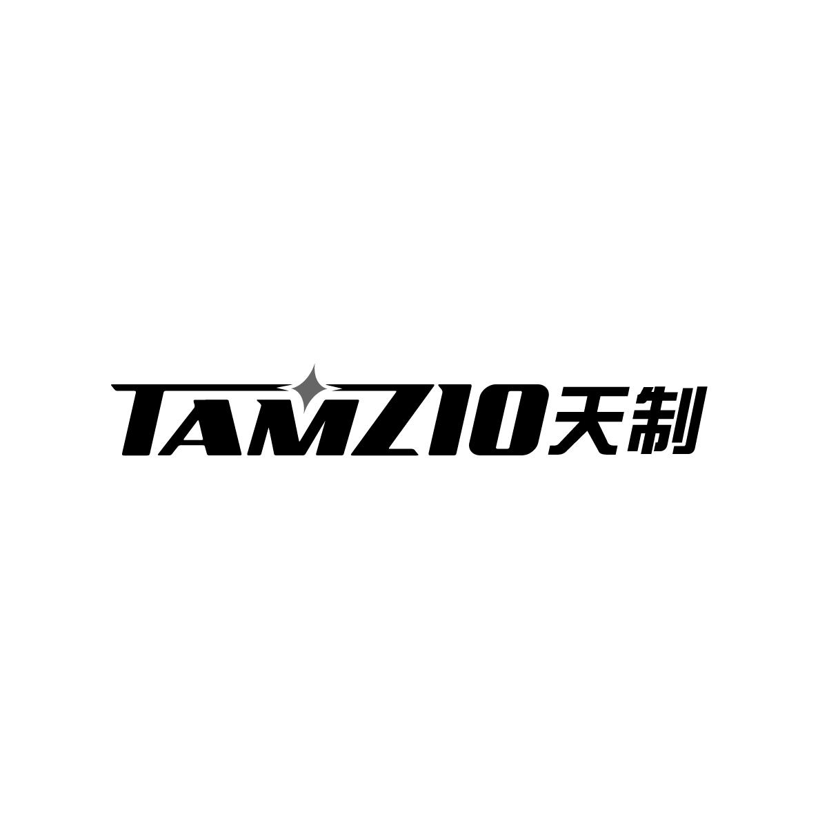 17类-橡胶石棉天制 TAMZIO商标转让