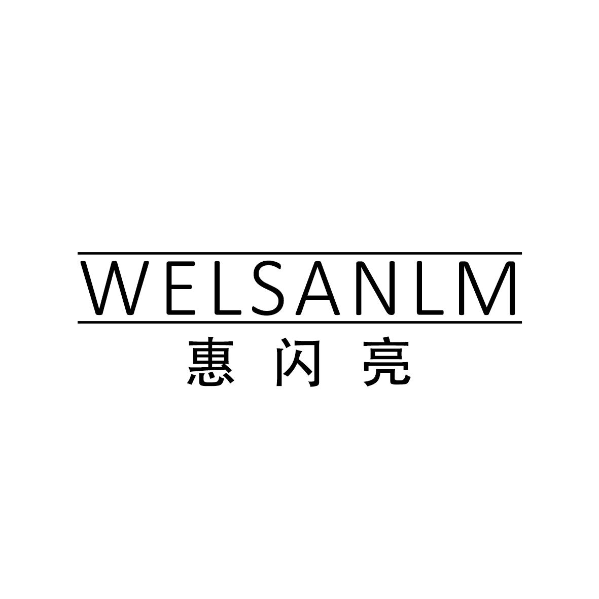 10类-医疗器械惠闪亮 WELSANLM商标转让