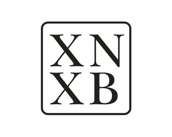 25类-服装鞋帽XNXB商标转让