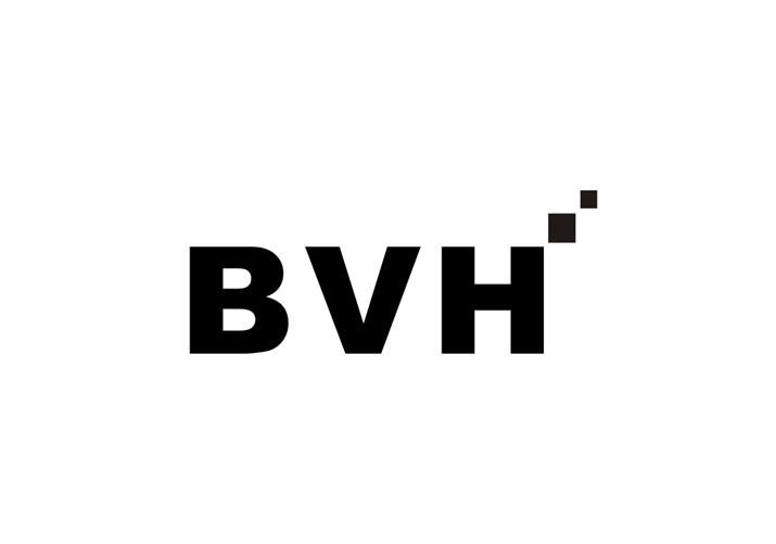 28类-健身玩具BVH商标转让