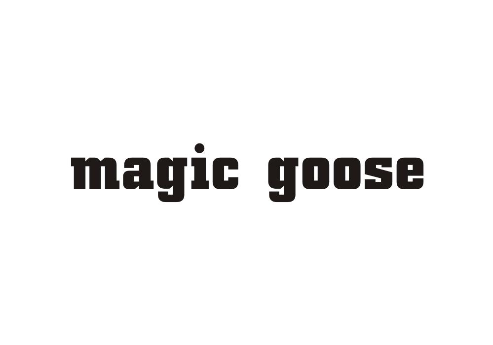 25类-服装鞋帽MAGIC GOOSE商标转让