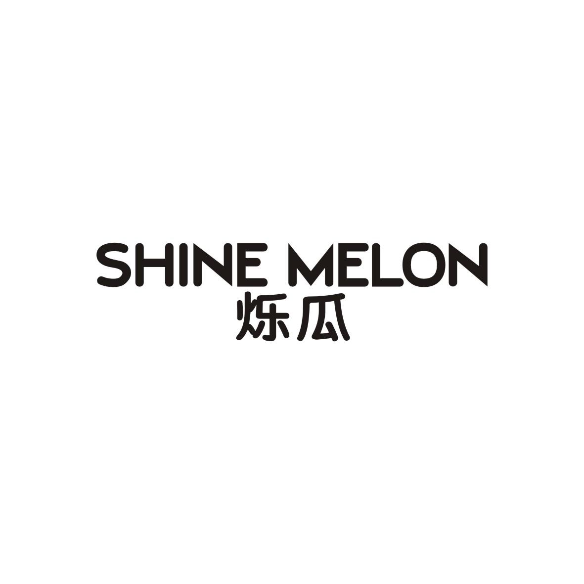 09类-科学仪器烁瓜 SHINE MELON商标转让