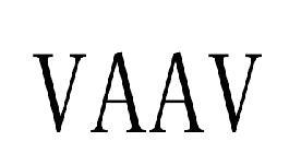 16类-办公文具VAAV商标转让