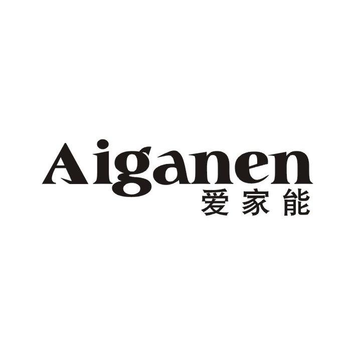 09类-科学仪器爱家能 AIGANEN商标转让