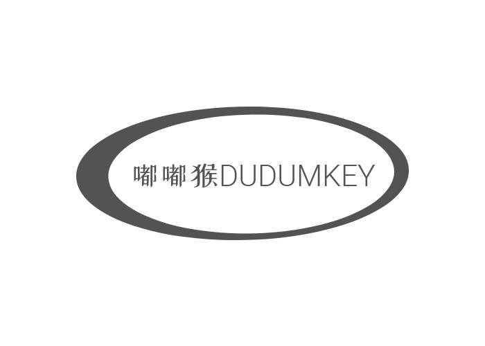 10类-医疗器械嘟嘟猴 DUDUMKEY商标转让