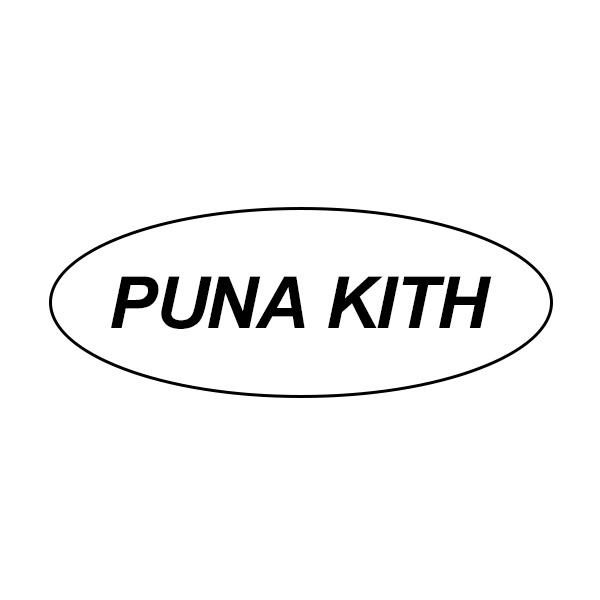 25类-服装鞋帽PUNA KITH商标转让