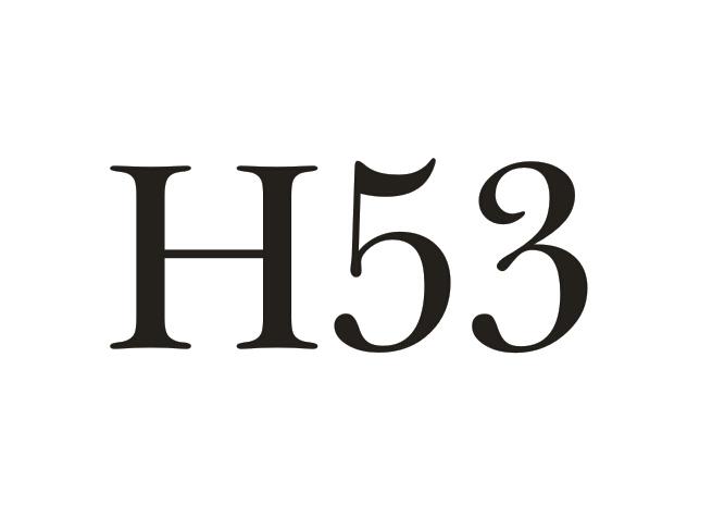 H 53商标转让