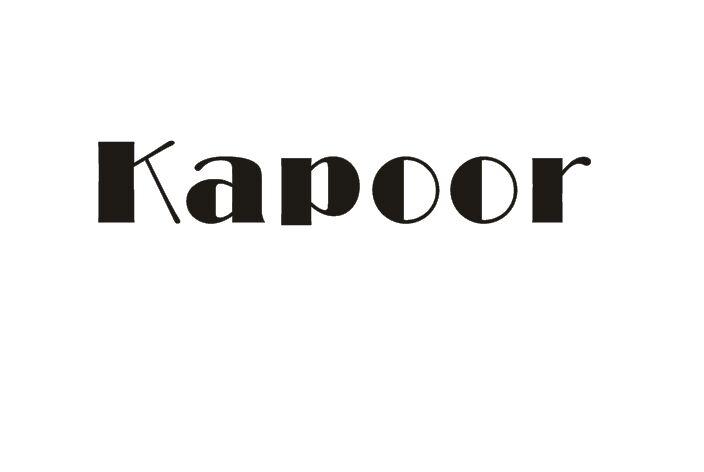 11类-电器灯具KAPOOR商标转让