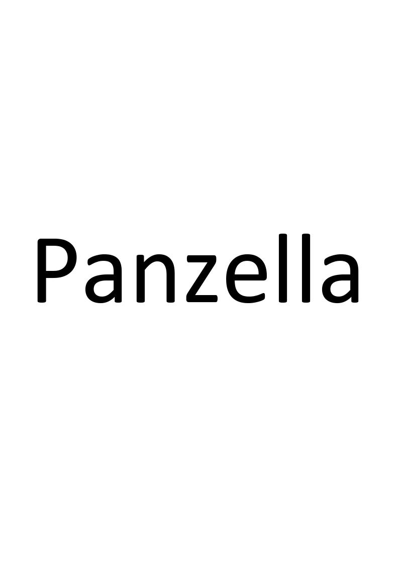 11类-电器灯具PANZELLA商标转让