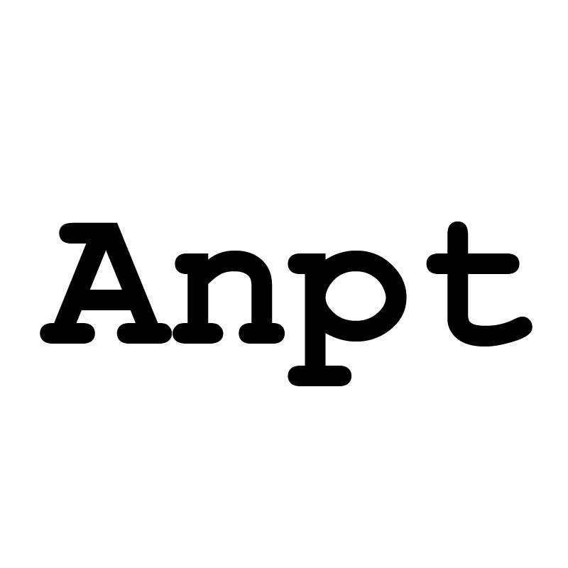 25类-服装鞋帽ANPT商标转让