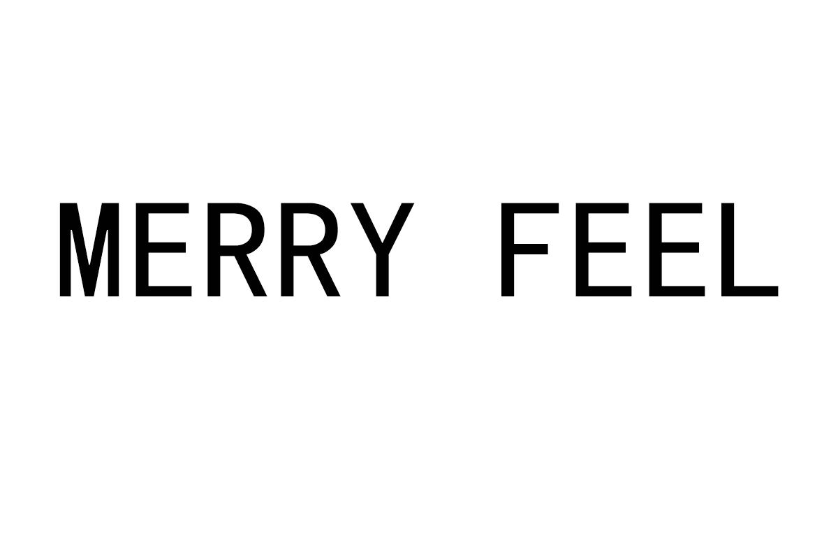 35类-广告销售MERRY FEEL商标转让