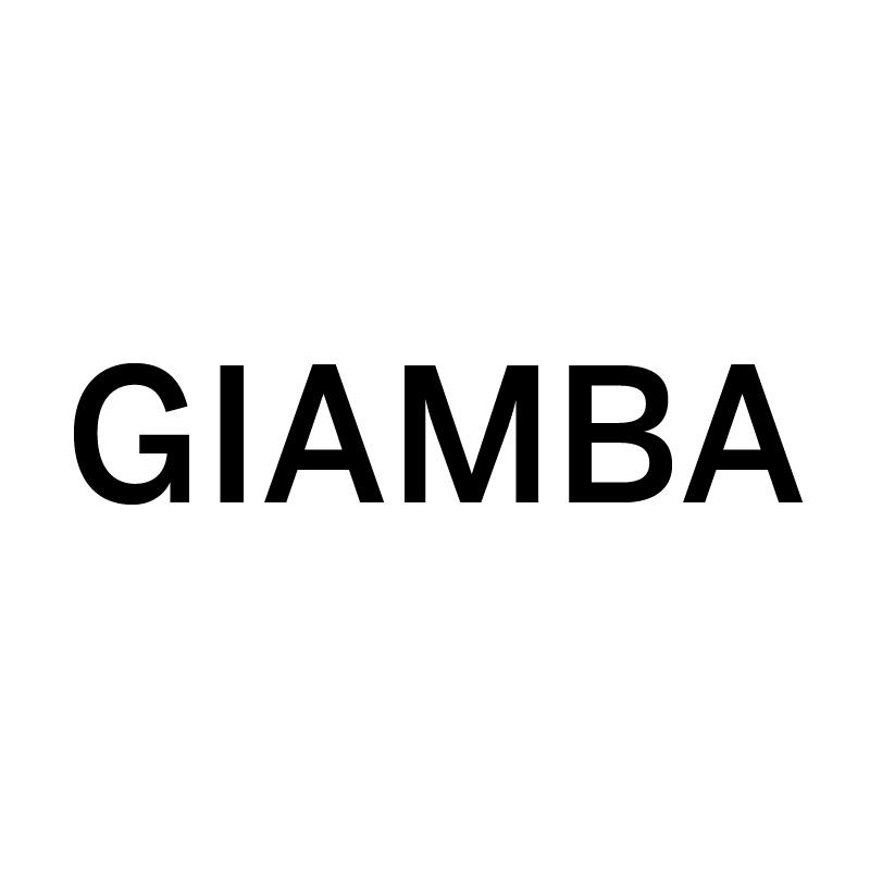 11类-电器灯具GIAMBA商标转让