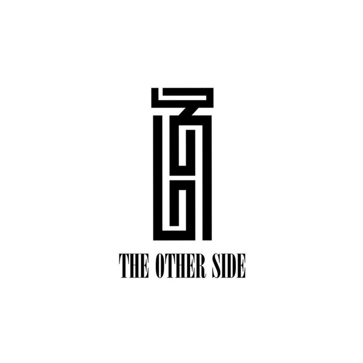 06类-金属材料THE OTHER SIDE商标转让