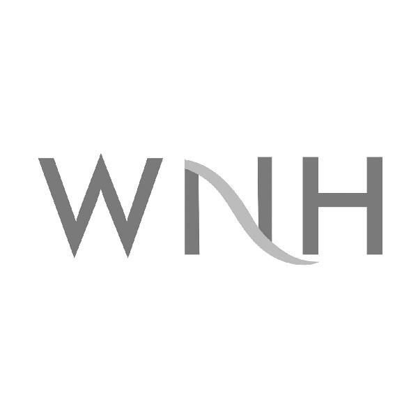 03类-日化用品WNH商标转让